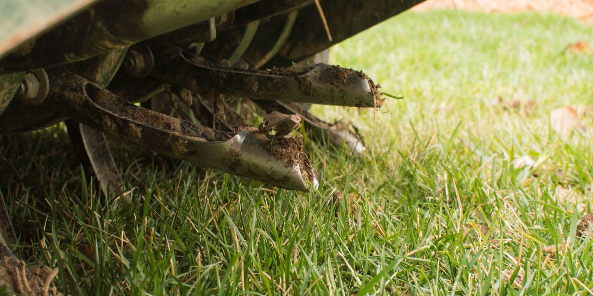 image of the underside of a lawn aerator working on grass