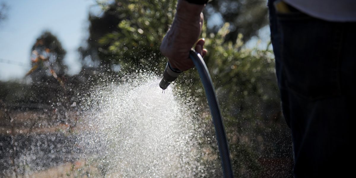 a close up of a hand holding a hose that is spraying water on a garden