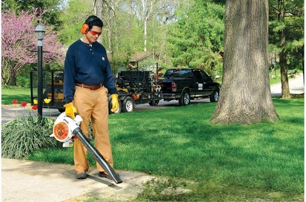 Bg | Outdoor Power Equipment | Carl's Mower & Saw