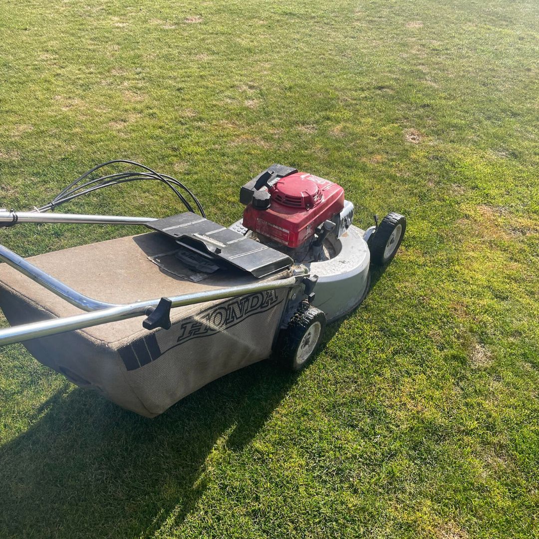 A Honda walk-behind mower on a lawn