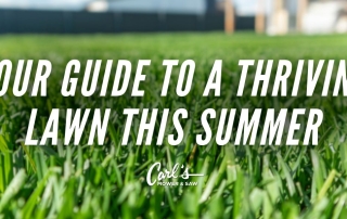 Image of a healthy green lawn with a house in the blurred background and text: Your Guide to a Thriving Lawn This Summer