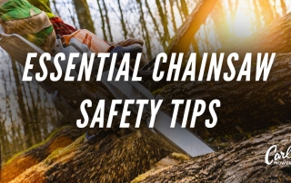 Text reading "Essential Chainsaw Safety Tips" on an image with someone using a chainsaw on a downed tree in the forest at sunset