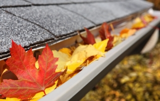 Gutter with fall leaves in it