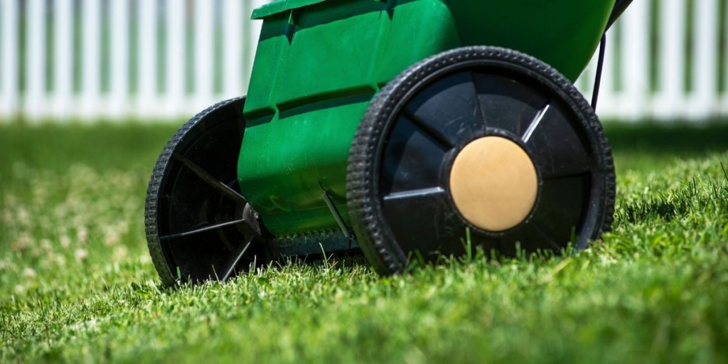 spring seeding of grass